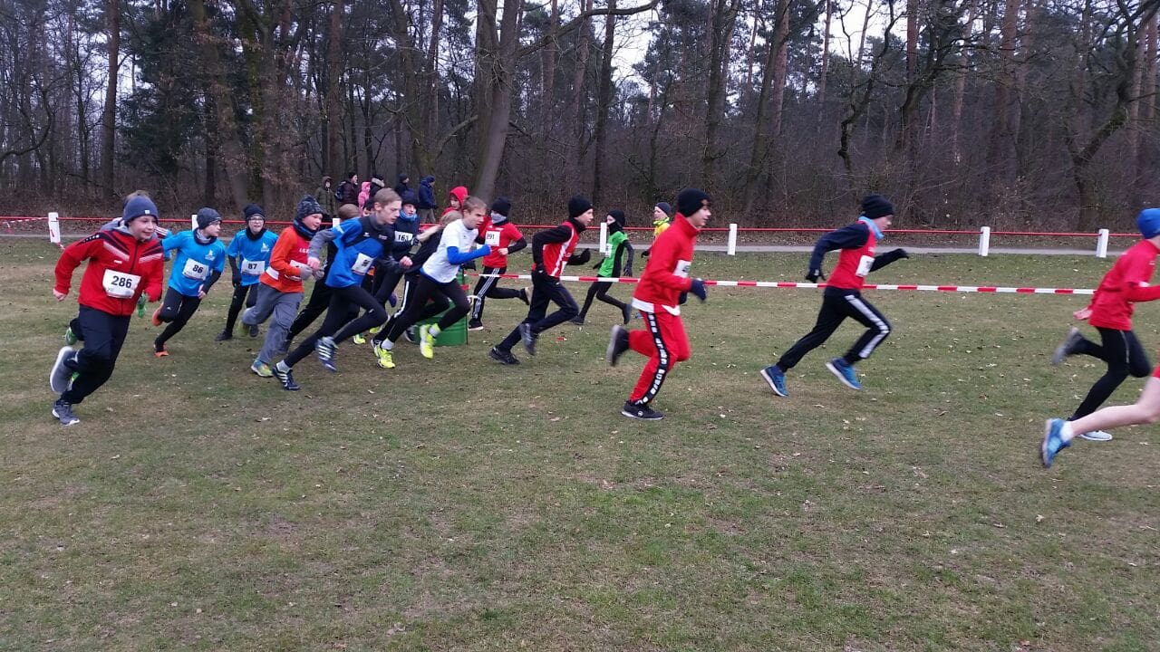 Regionsmeisterschaften im Crosslauf