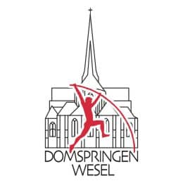 domLogo260